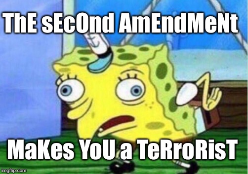 Mocking Spongebob Meme | ThE sEcOnd AmEndMeNt MaKes YoU a TeRroRisT | image tagged in memes,mocking spongebob | made w/ Imgflip meme maker