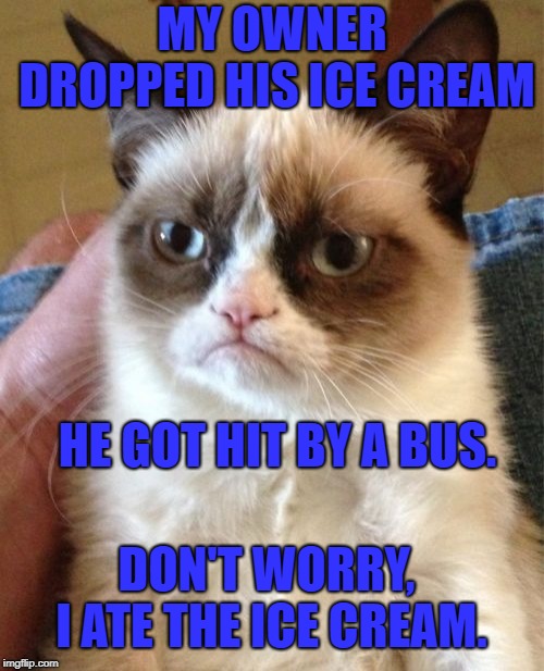 Don't ever let a good thing go to waste.  | MY OWNER DROPPED HIS ICE CREAM; HE GOT HIT BY A BUS. DON'T WORRY, I ATE THE ICE CREAM. | image tagged in memes,grumpy cat,cats,funny,nature,twisted | made w/ Imgflip meme maker