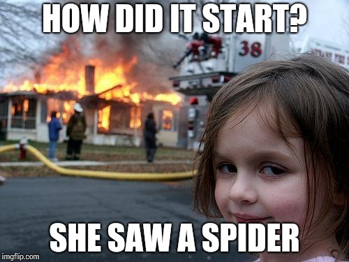 Disaster Girl Meme | HOW DID IT START? SHE SAW A SPIDER | image tagged in memes,disaster girl | made w/ Imgflip meme maker