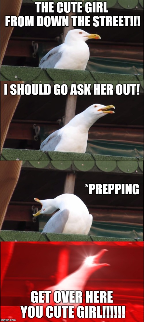 Inhaling Seagull Meme | THE CUTE GIRL FROM DOWN THE STREET!!! I SHOULD GO ASK HER OUT! *PREPPING; GET OVER HERE YOU CUTE GIRL!!!!!! | image tagged in memes,inhaling seagull | made w/ Imgflip meme maker
