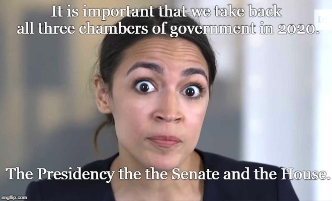 It is important that we take back all three chambers of government in 2020. The Presidency the the Senate and the House. | image tagged in ocasio cortez | made w/ Imgflip meme maker