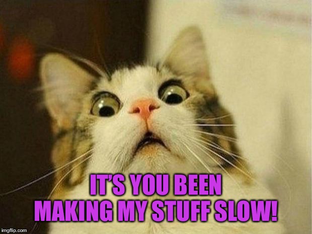Scared Cat Meme | IT’S YOU BEEN MAKING MY STUFF SLOW! | image tagged in memes,scared cat | made w/ Imgflip meme maker