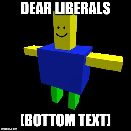 DEAR LIBERALS; [BOTTOM TEXT] | image tagged in dominant roblox dude | made w/ Imgflip meme maker