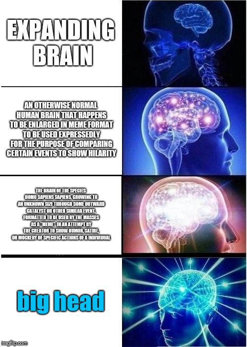 Increasingly Verbose Brain | EXPANDING BRAIN; AN OTHERWISE NORMAL HUMAN BRAIN THAT HAPPENS TO BE ENLARGED IN MEME FORMAT TO BE USED EXPRESSEDLY FOR THE PURPOSE OF COMPARING CERTAIN EVENTS TO SHOW HILARITY; THE BRAIN OF THE SPECIES HOMO SAPIENS SAPIENS, GROWING TO AN UNKNOWN SIZE THROUGH SOME OUTWARD CATALYST OR OTHER SIMILAR EVENT, FORMATTED TO BE USED BY THE MASSES AS A "MEME", IN AN ATTEMPT BY THE CREATOR TO SHOW HUMOR, SATIRE, OR MOCKERY OF SPECIFIC ACTIONS OF A INDIVIDUAL; big head | image tagged in memes,expanding brain,increasingly verbose,funny | made w/ Imgflip meme maker