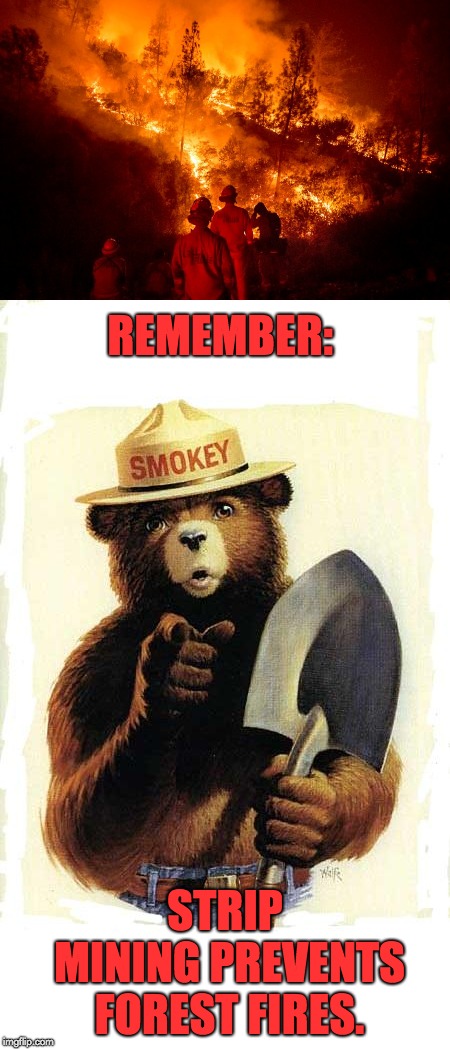 California fires | REMEMBER:; STRIP MINING PREVENTS FOREST FIRES. | image tagged in smokey the bear | made w/ Imgflip meme maker