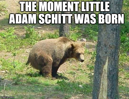 Adam Schitt | THE MOMENT LITTLE  ADAM SCHITT WAS BORN | image tagged in adam schiff | made w/ Imgflip meme maker