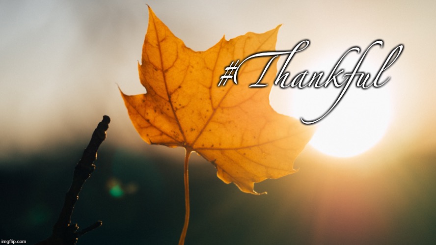 #Thankful | image tagged in thankful | made w/ Imgflip meme maker