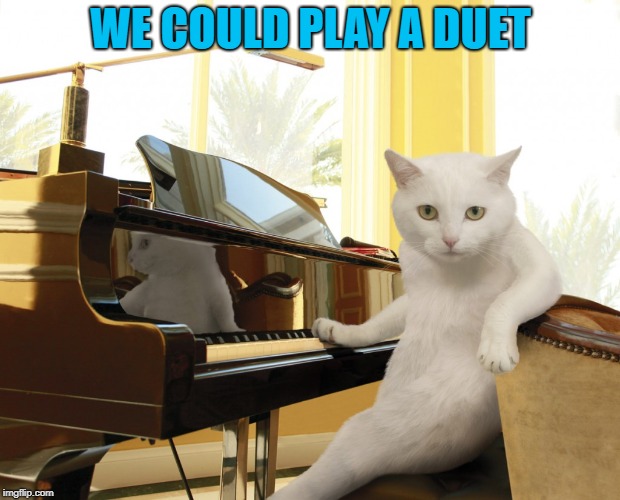 WE COULD PLAY A DUET | made w/ Imgflip meme maker