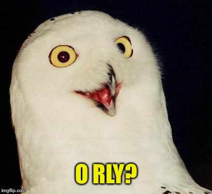 orly owl | O RLY? | image tagged in orly owl | made w/ Imgflip meme maker
