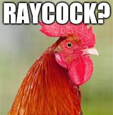 The Raydog, Raycat, now introducing: The RayCock! | RAYCOCK? | image tagged in rooster,cock,memes,funny,chicken | made w/ Imgflip meme maker