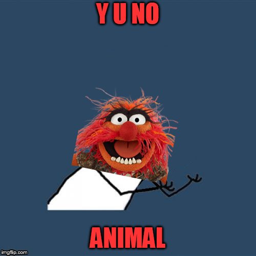 Y U NO ANIMAL | made w/ Imgflip meme maker