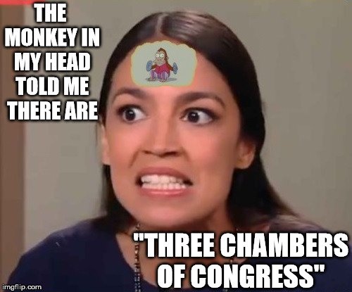 Alexandria Casio-Cortez | THE MONKEY IN MY HEAD TOLD ME THERE ARE; "THREE CHAMBERS OF CONGRESS" | image tagged in alexandria casio-cortez,political meme,congress,monkey | made w/ Imgflip meme maker