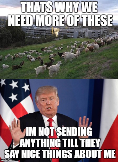 THATS WHY WE NEED MORE OF THESE IM NOT SENDING ANYTHING TILL THEY SAY NICE THINGS ABOUT ME | image tagged in trump not me | made w/ Imgflip meme maker