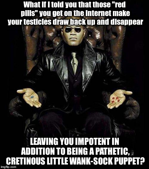 Morpheus Blue & Red Pill | What if I told you that those "red pills" you get on the internet make your testicles draw back up and disappear; LEAVING YOU IMPOTENT IN ADDITION TO BEING A PATHETIC, CRETINOUS LITTLE WANK-SOCK PUPPET? | image tagged in morpheus blue  red pill | made w/ Imgflip meme maker