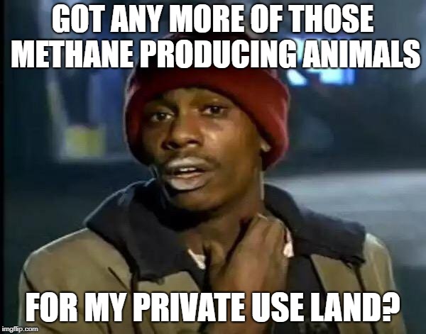 Y'all Got Any More Of That Meme | GOT ANY MORE OF THOSE METHANE PRODUCING ANIMALS FOR MY PRIVATE USE LAND? | image tagged in memes,y'all got any more of that | made w/ Imgflip meme maker