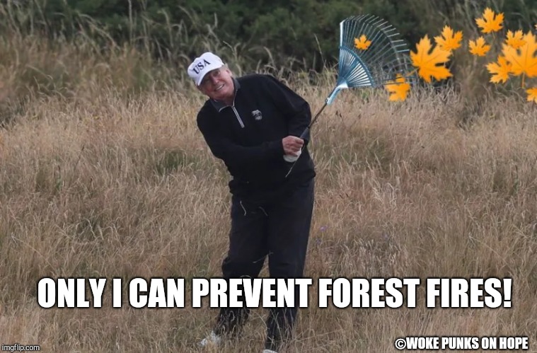 Make America Rake Again! | ONLY I CAN PREVENT FOREST FIRES! ©WOKE PUNKS ON HOPE | image tagged in trump,political humor,climate change | made w/ Imgflip meme maker