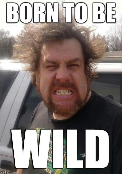 BORN TO BE; WILD | image tagged in bad hair day batt | made w/ Imgflip meme maker