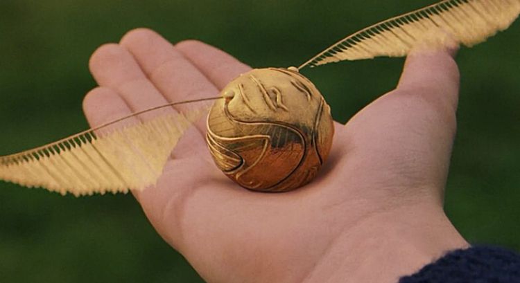 The Golden Snitch Blank Meme Template