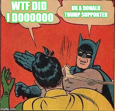 Batman Slapping Robin Meme | WTF DID I DOOOOOO; UR A DONALD TRUMP SUPPORTER | image tagged in memes,batman slapping robin | made w/ Imgflip meme maker
