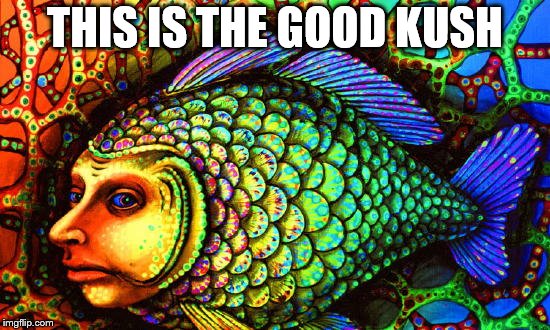 THIS IS THE GOOD KUSH | made w/ Imgflip meme maker