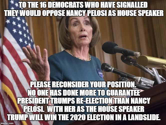 To The 16 Democrats who have signalled they would oppose Nancy Pelosi as House speaker. | TO THE 16 DEMOCRATS WHO HAVE SIGNALLED THEY WOULD OPPOSE NANCY PELOSI AS HOUSE SPEAKER; PLEASE RECONSIDER YOUR POSITION. NO ONE HAS DONE MORE TO GUARANTEE PRESIDENT TRUMPS RE-ELECTION THAN NANCY PELOSI.  WITH HER AS THE HOUSE SPEAKER TRUMP WILL WIN THE 2020 ELECTION IN A LANDSLIDE. | image tagged in nancy,pelosi,nutjob,whacko,crazy | made w/ Imgflip meme maker