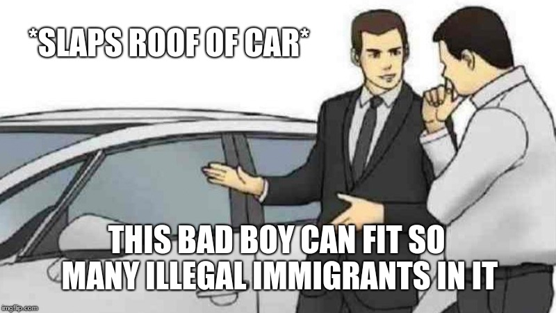 Car Salesman Slaps Roof Of Car Meme | *SLAPS ROOF OF CAR*; THIS BAD BOY CAN FIT SO MANY ILLEGAL IMMIGRANTS IN IT | image tagged in memes,car salesman slaps roof of car | made w/ Imgflip meme maker