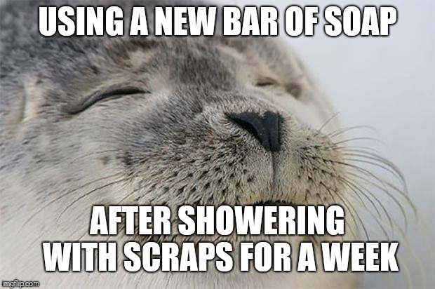 Satisfied Seal Meme | USING A NEW BAR OF SOAP; AFTER SHOWERING WITH SCRAPS FOR A WEEK | image tagged in memes,satisfied seal,AdviceAnimals | made w/ Imgflip meme maker