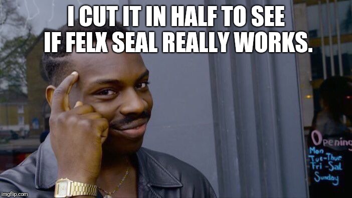 Roll Safe Think About It Meme | I CUT IT IN HALF TO SEE IF FELX SEAL REALLY WORKS. | image tagged in memes,roll safe think about it | made w/ Imgflip meme maker