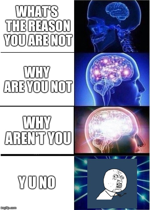 Expanding Brain | WHAT'S THE REASON YOU ARE NOT; WHY ARE YOU NOT; WHY AREN'T YOU; Y U NO | image tagged in memes,expanding brain,y u no,funny memes | made w/ Imgflip meme maker