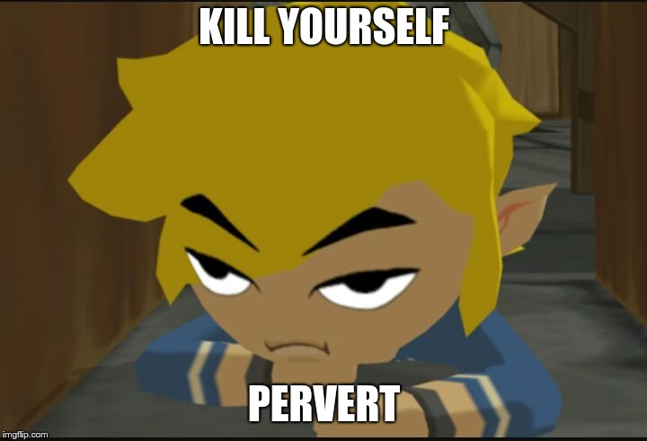Frustrated Link | KILL YOURSELF PERVERT | image tagged in frustrated link | made w/ Imgflip meme maker