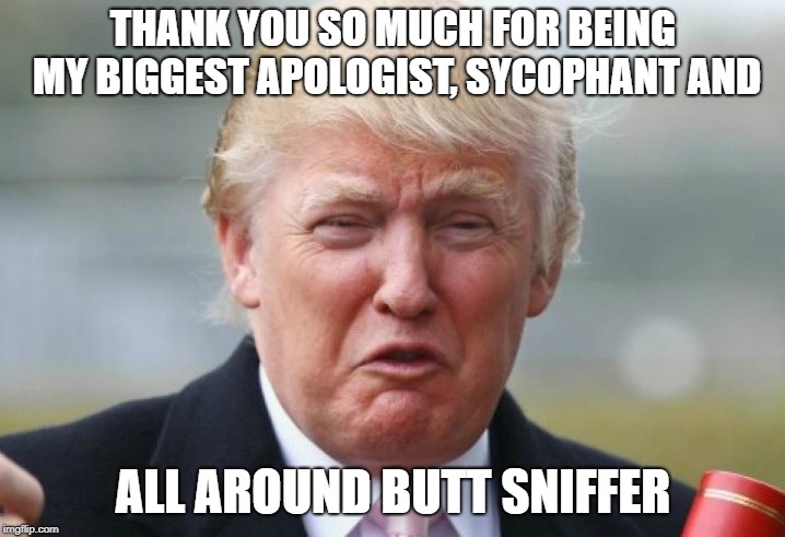 Trump Crybaby | THANK YOU SO MUCH FOR BEING MY BIGGEST APOLOGIST, SYCOPHANT AND ALL AROUND BUTT SNIFFER | image tagged in trump crybaby | made w/ Imgflip meme maker
