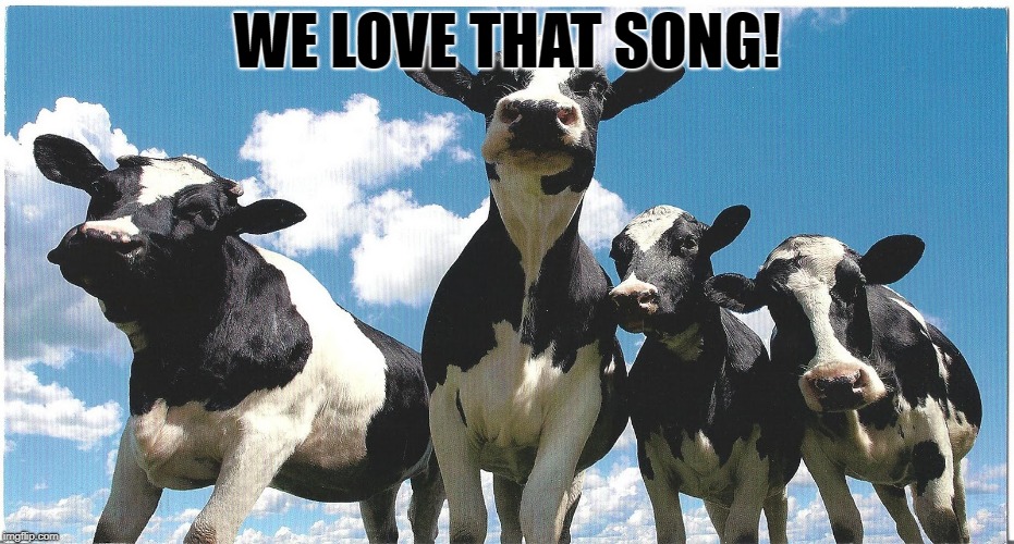 WE LOVE THAT SONG! | made w/ Imgflip meme maker