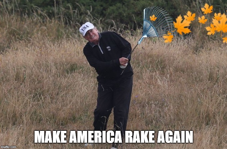 Trump raking | MAKE AMERICA RAKE AGAIN | image tagged in trump raking | made w/ Imgflip meme maker