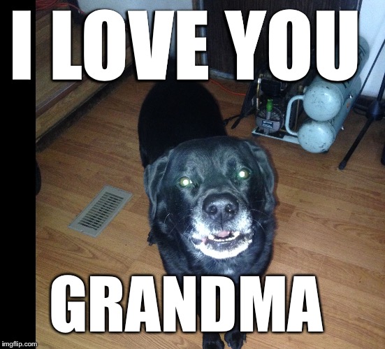 Jack black wrate | I LOVE YOU; GRANDMA | image tagged in jack black | made w/ Imgflip meme maker