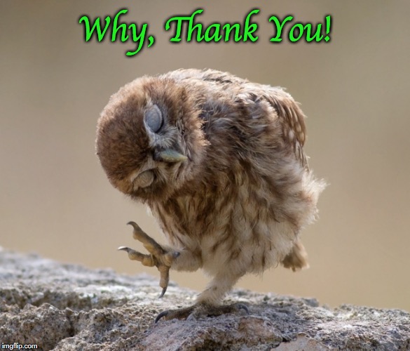 Why, Thank You! | made w/ Imgflip meme maker