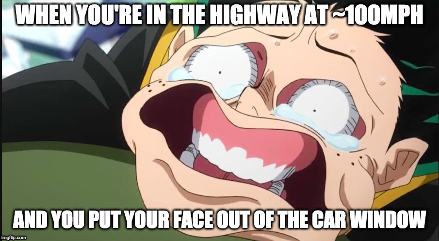 Deku Face | WHEN YOU'RE IN THE HIGHWAY AT ~100MPH; AND YOU PUT YOUR FACE OUT OF THE CAR WINDOW | image tagged in deku face,memes,car,highway,window,outside | made w/ Imgflip meme maker
