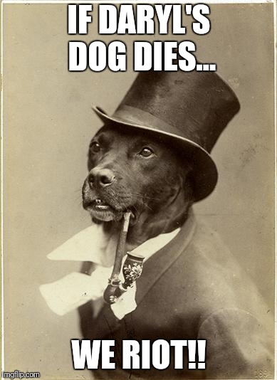 Old Money Dog | IF DARYL'S DOG DIES... WE RIOT!! | image tagged in old money dog | made w/ Imgflip meme maker