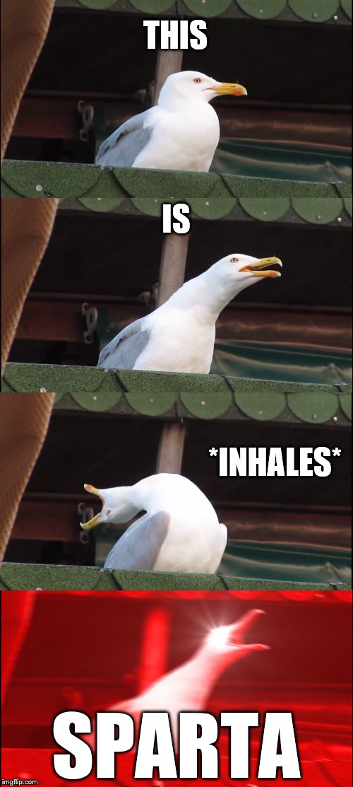 Inhaling Seagull | THIS; IS; *INHALES*; SPARTA | image tagged in memes,inhaling seagull | made w/ Imgflip meme maker