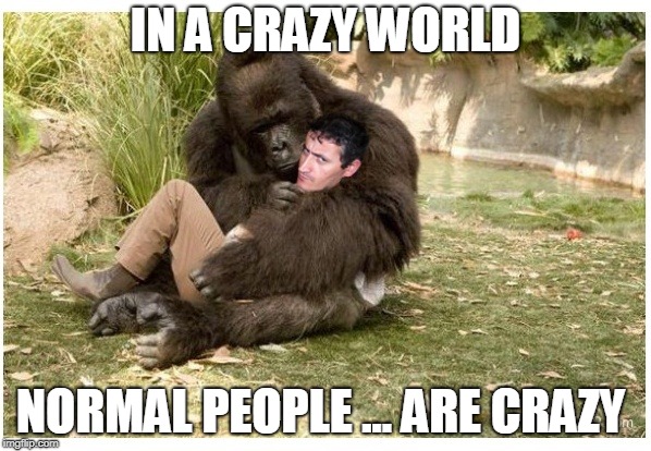 crazy like me | IN A CRAZY WORLD; NORMAL PEOPLE ... ARE CRAZY | image tagged in funny | made w/ Imgflip meme maker