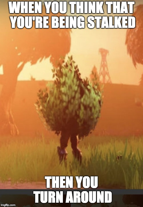 Fortnite bush | WHEN YOU THINK THAT YOU'RE BEING STALKED; THEN YOU TURN AROUND | image tagged in fortnite bush | made w/ Imgflip meme maker