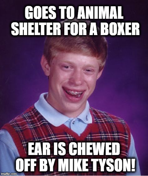 Bad Luck Brian | GOES TO ANIMAL SHELTER FOR A BOXER; EAR IS CHEWED OFF BY MIKE TYSON! | image tagged in memes,bad luck brian | made w/ Imgflip meme maker