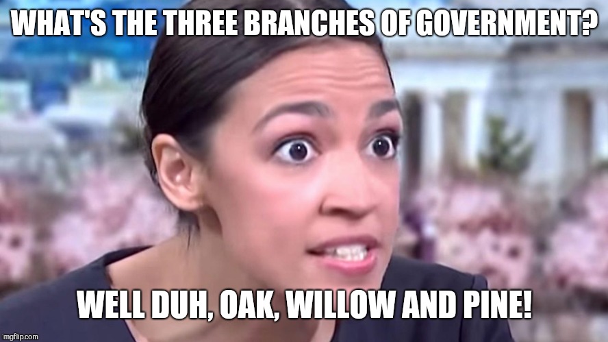 Intense Alexandria Ocasio-Cortez | WHAT'S THE THREE BRANCHES OF GOVERNMENT? WELL DUH, OAK, WILLOW AND PINE! | image tagged in intense alexandria ocasio-cortez,ignorant | made w/ Imgflip meme maker