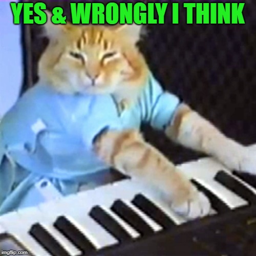 Keyboard cat | YES & WRONGLY I THINK | image tagged in keyboard cat | made w/ Imgflip meme maker