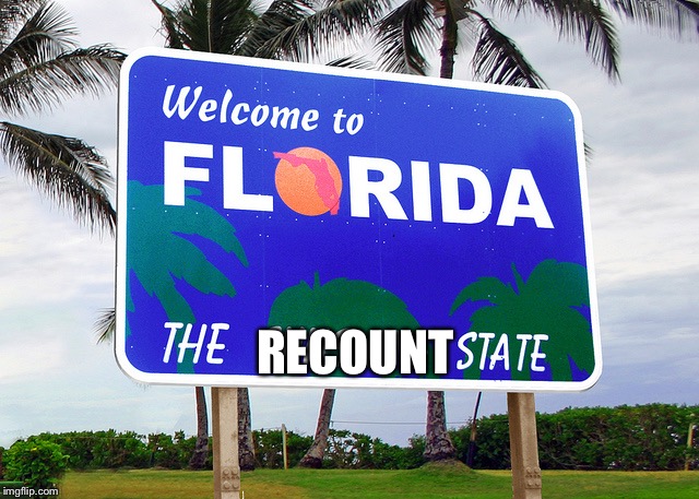 Florida | RECOUNT | image tagged in florida | made w/ Imgflip meme maker
