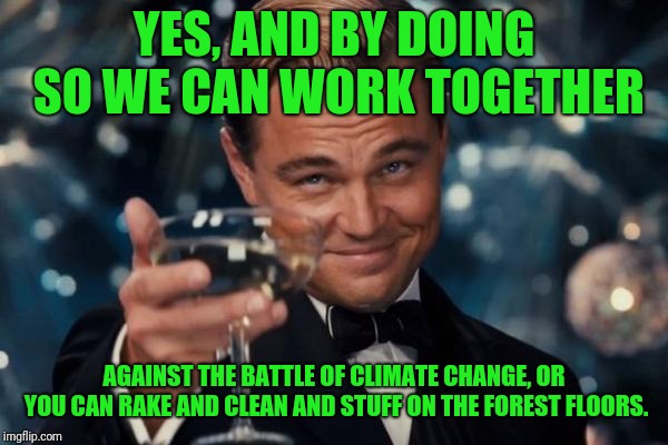 Leonardo Dicaprio Cheers Meme | YES, AND BY DOING SO WE CAN WORK TOGETHER AGAINST THE BATTLE OF CLIMATE CHANGE, OR YOU CAN RAKE AND CLEAN AND STUFF ON THE FOREST FLOORS. | image tagged in memes,leonardo dicaprio cheers | made w/ Imgflip meme maker