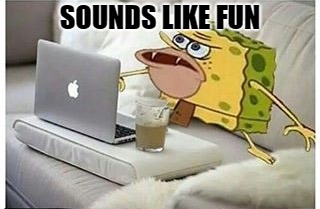 SpongeGar Computer | SOUNDS LIKE FUN | image tagged in spongegar computer | made w/ Imgflip meme maker