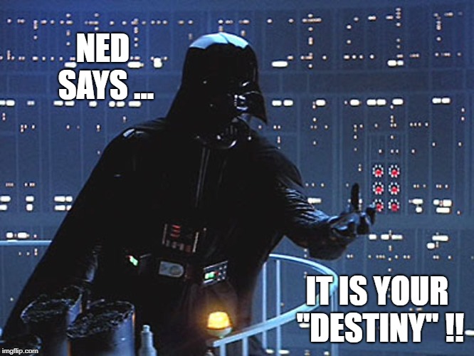 Darth Vader - Come to the Dark Side | NED SAYS ... IT IS YOUR "DESTINY" !! | image tagged in darth vader - come to the dark side | made w/ Imgflip meme maker