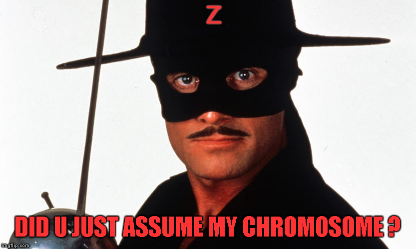 Z DID U JUST ASSUME MY CHROMOSOME ? | made w/ Imgflip meme maker