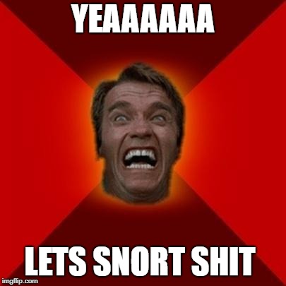 Arnold meme | YEAAAAAA; LETS SNORT SHIT | image tagged in arnold meme | made w/ Imgflip meme maker