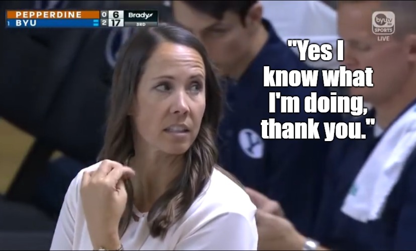 "Yes I know what I'm doing, thank you." | image tagged in volleyball | made w/ Imgflip meme maker